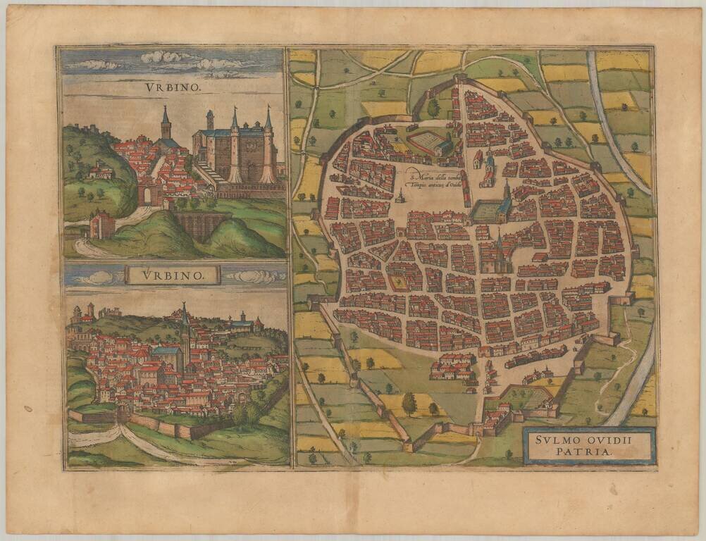 Sulmo Ovidii Patria (with) Urbino