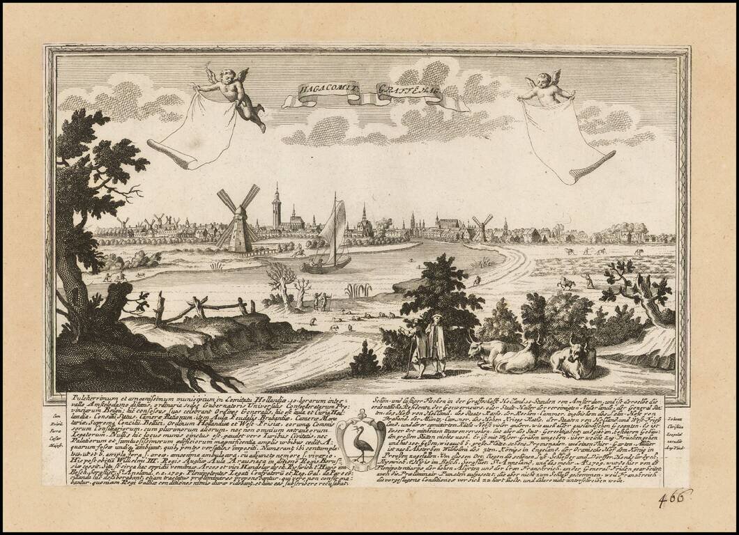 Hagacomit  Graffehag