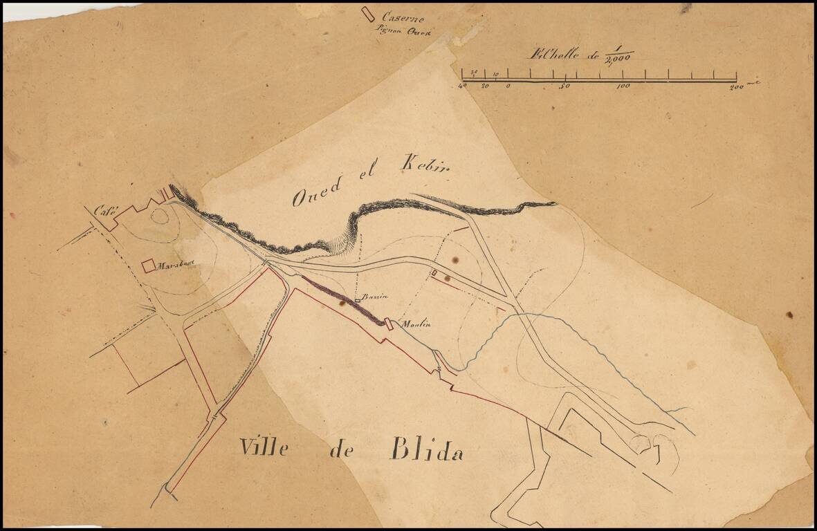 (Manuscript Map - Algeria)  Ville de Blida