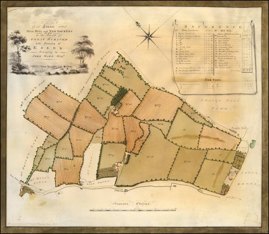Plan of an Estate called Mill Hill and New Lockers with Oak Farm in the Parish of Great Bursted and County of Essex belonging to John Ward Esqr.