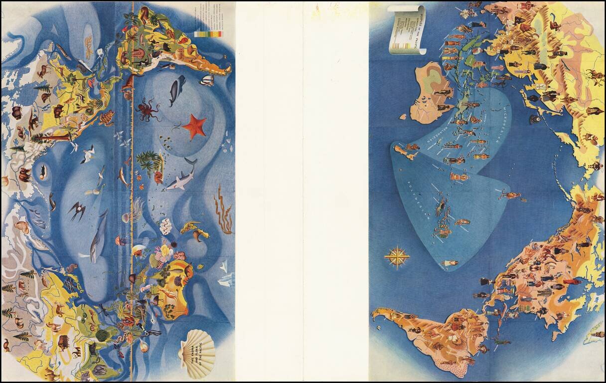 Economy of the Pacific