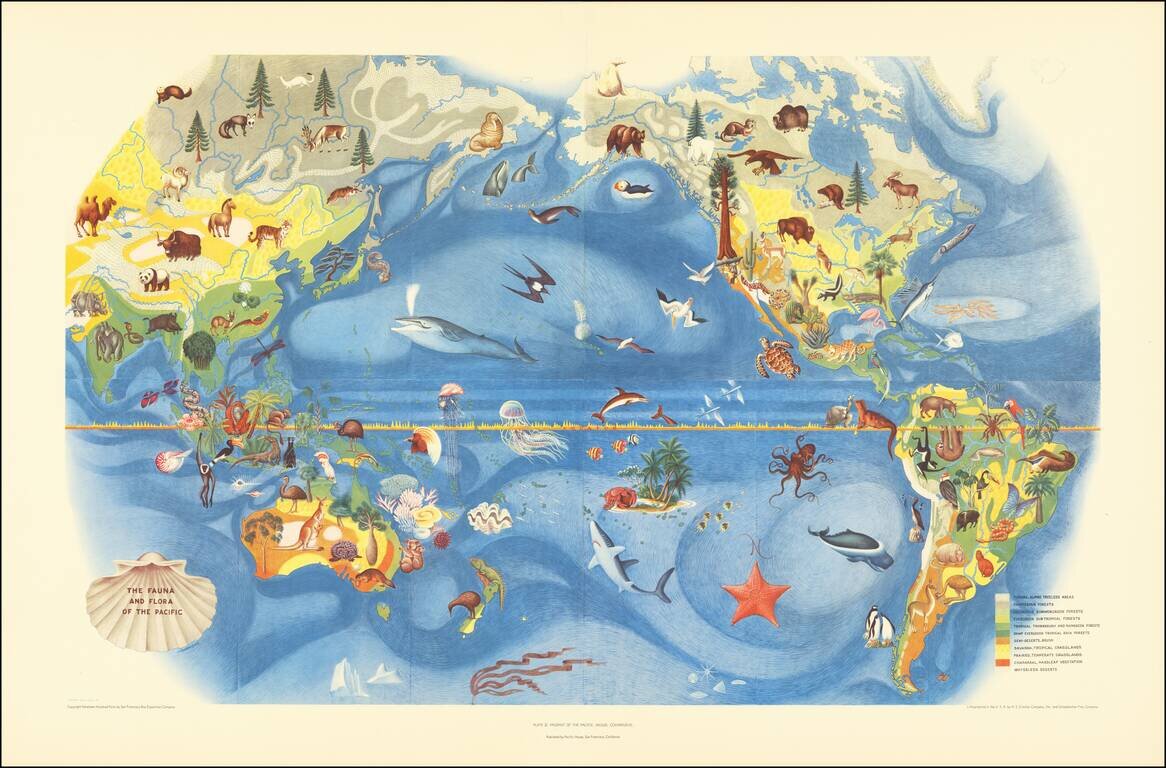 Pageant of the Pacific