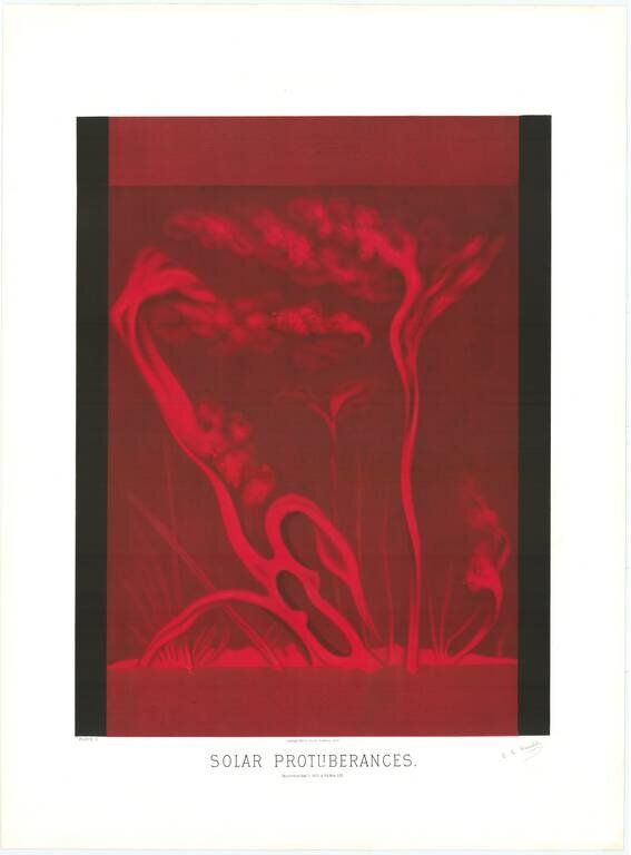 Solar Protuberances.