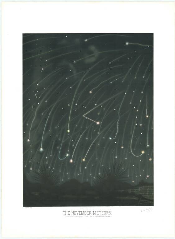 The November Meteors