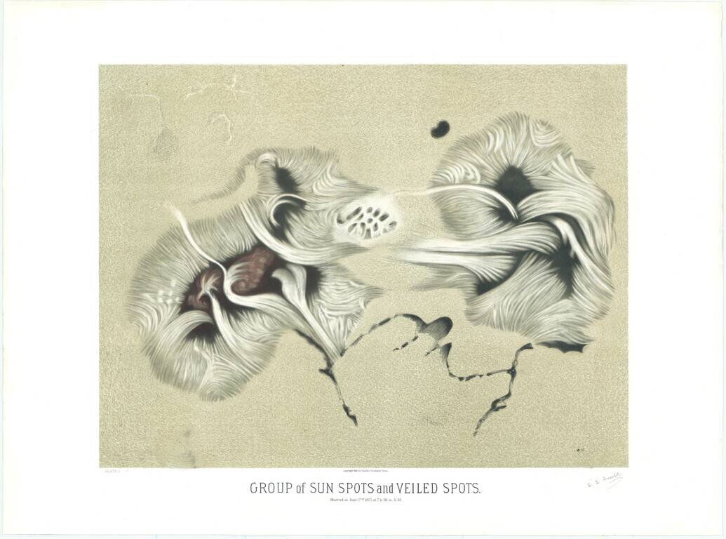 Group of Sun Spots and Veiled Spots