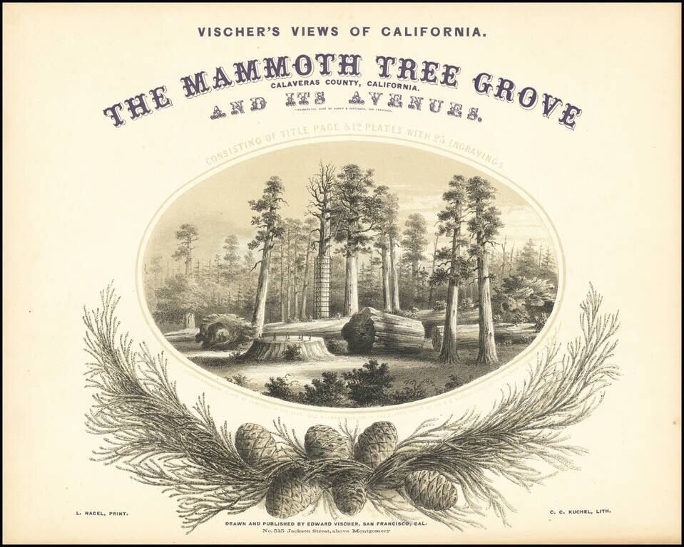 Vischer's Views of California. The Mammoth Tree Grove Calaveras County, California. And Its Avenues. Consisting of Title Page & 12 Plates with 25 Engravings.