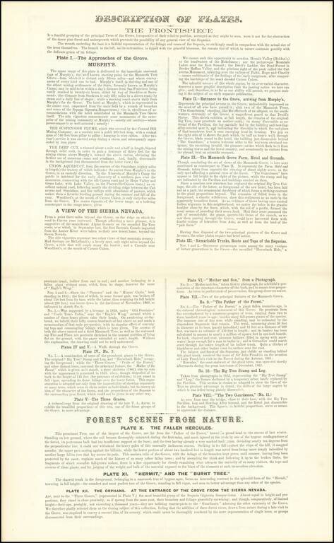 Vischer's Views of California. The Mammoth Tree Grove Calaveras County, California. And Its Avenues. Consisting of Title Page & 12 Plates with 25 Engravings.